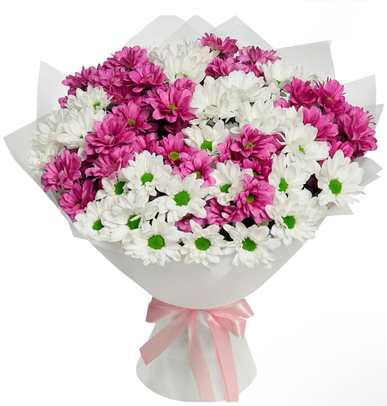 Chrysanthemums