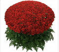 1001 Red Roses Bouquet