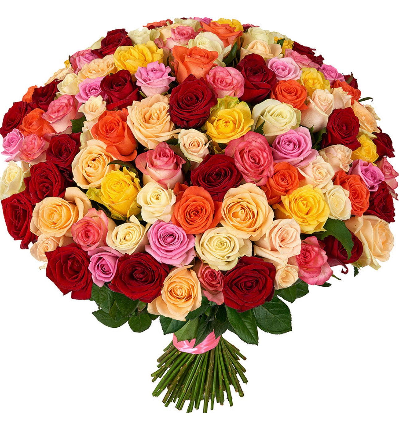 101 Multi-Colored Roses Bouquet