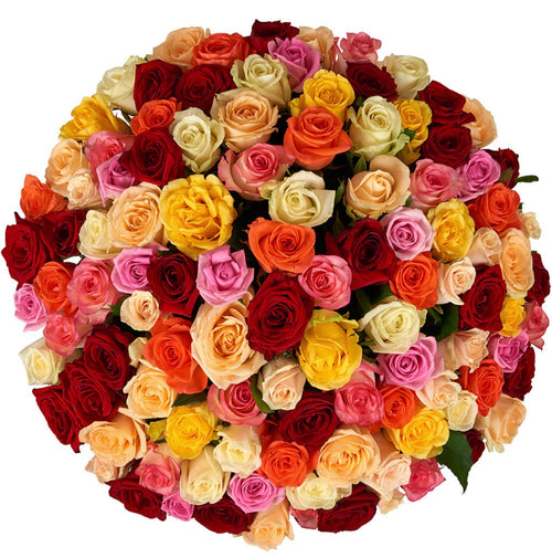 101 Multi-Colored Roses Bouquet