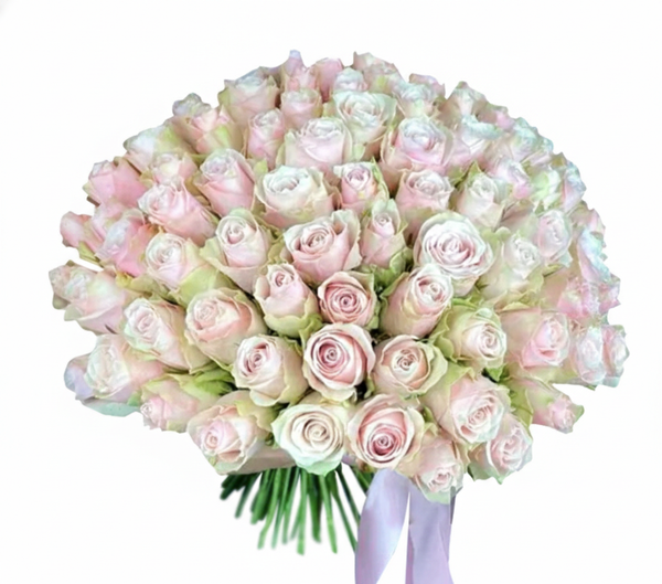 101 Pink Athena Roses