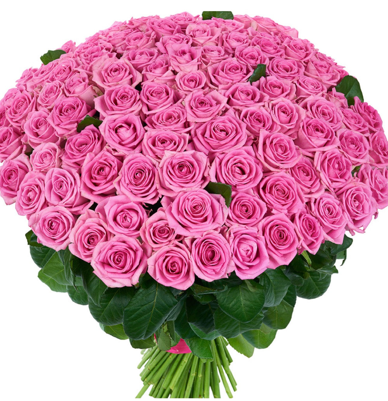 101 Pink Roses Bouquet