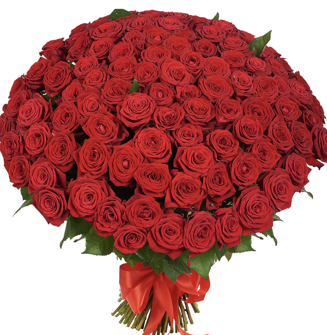101 Red Roses Luxury Bouquet