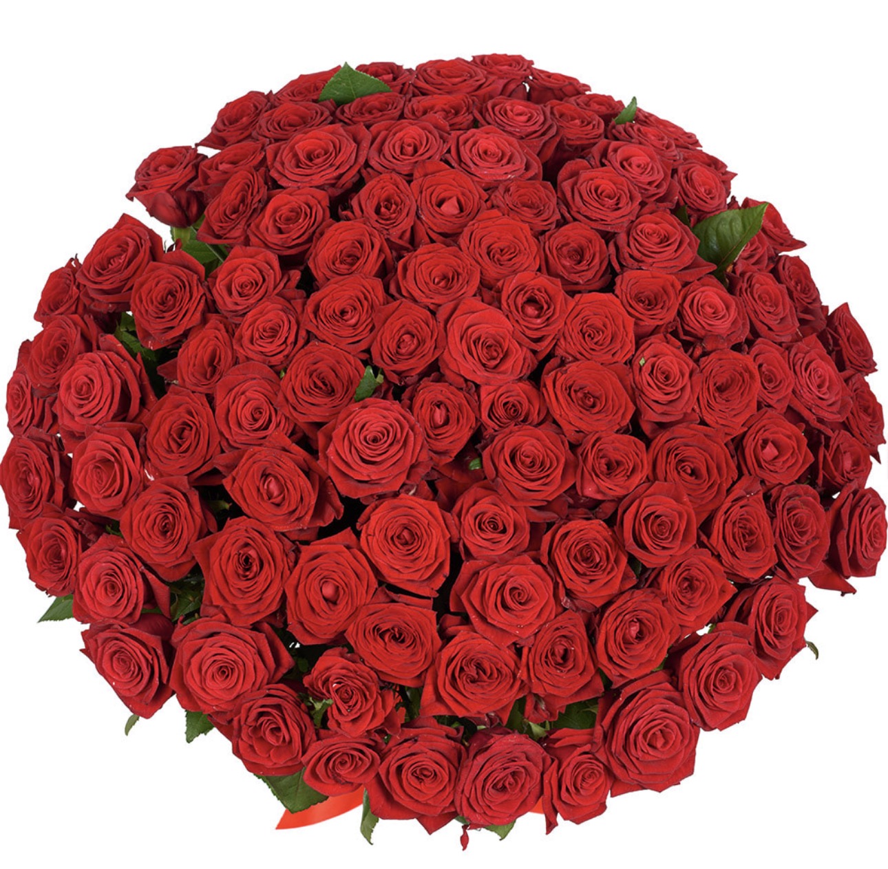 101 Red Roses Luxury Bouquet