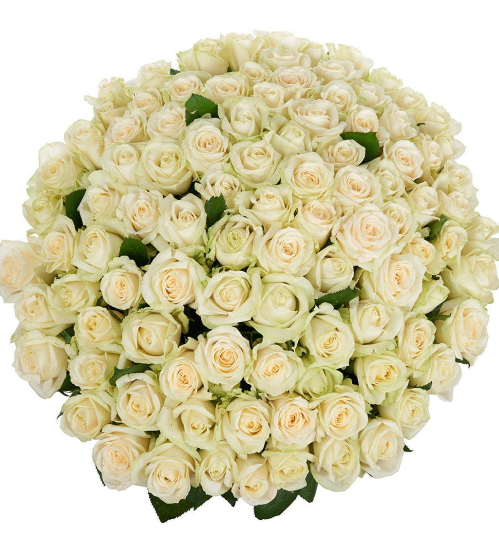 101 White Roses Signature Bouquet