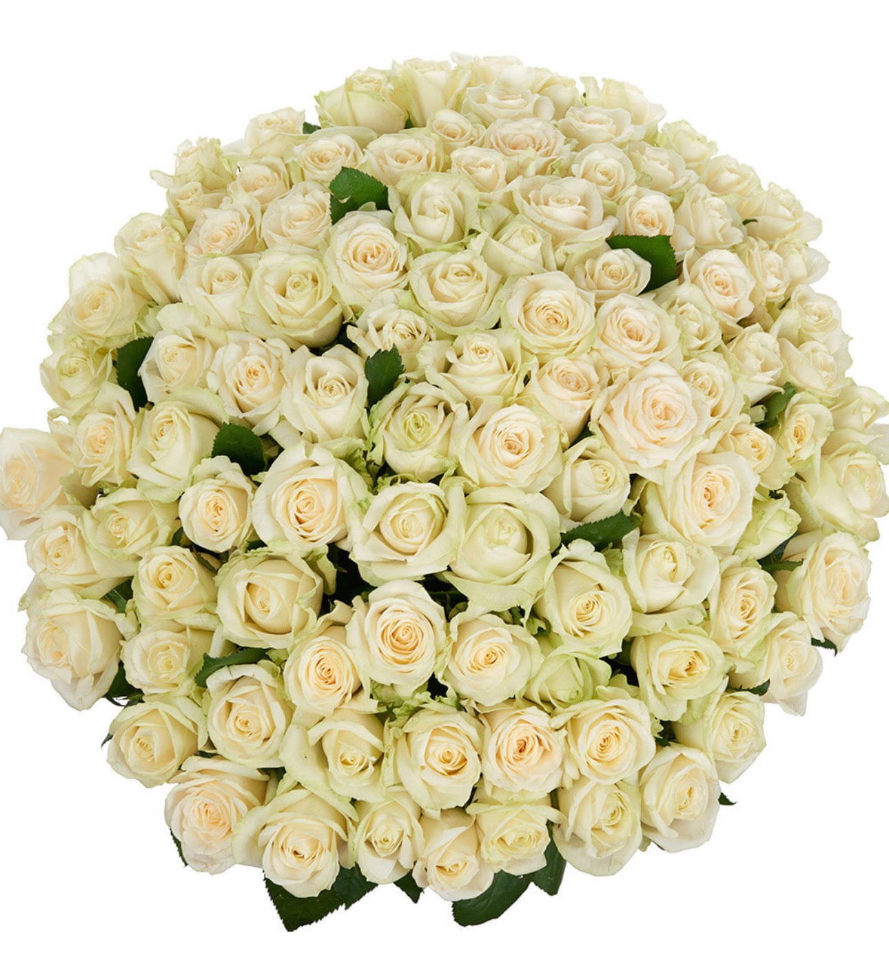 101 White Roses Signature Bouquet