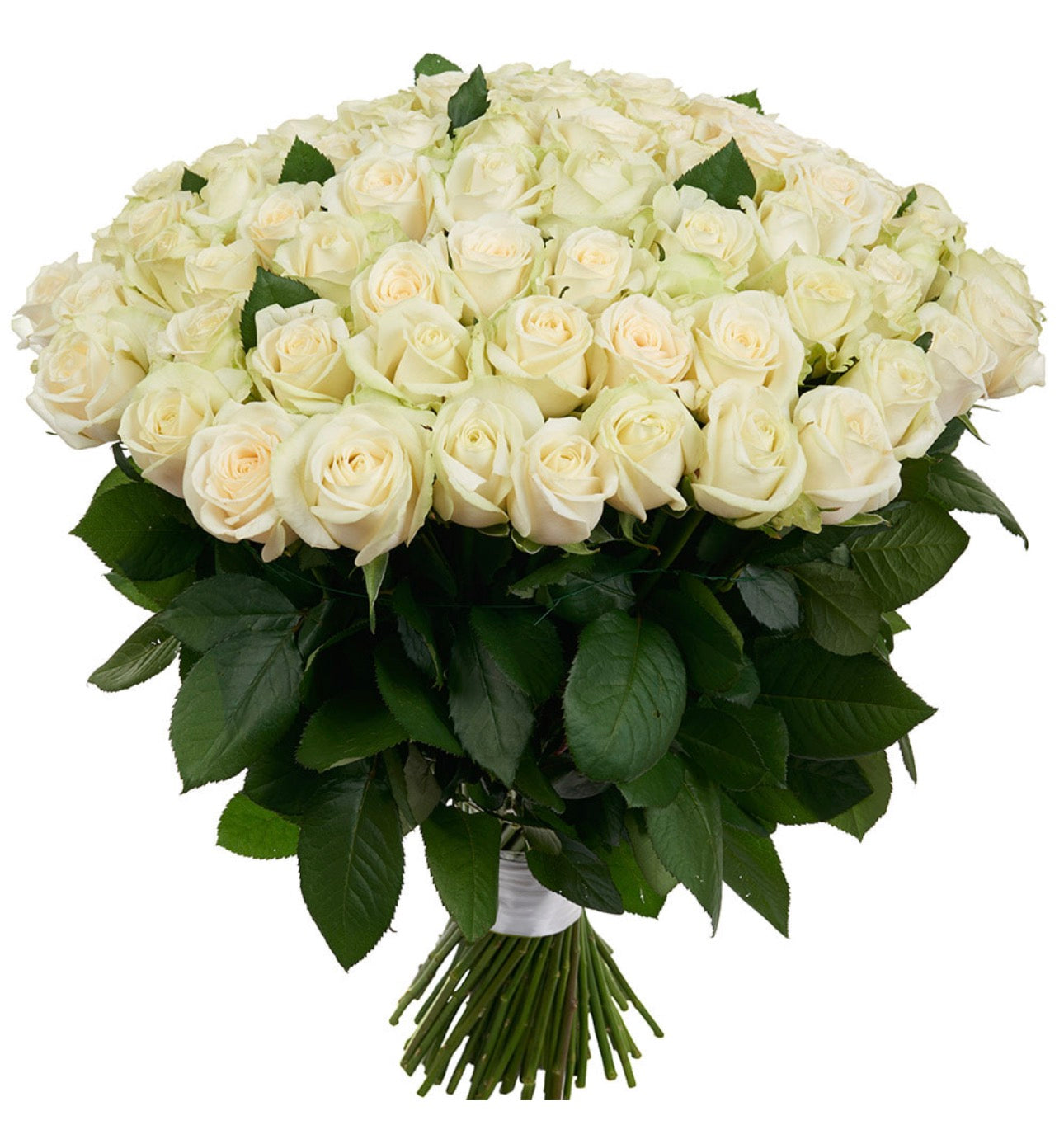 101 White Roses Signature Bouquet