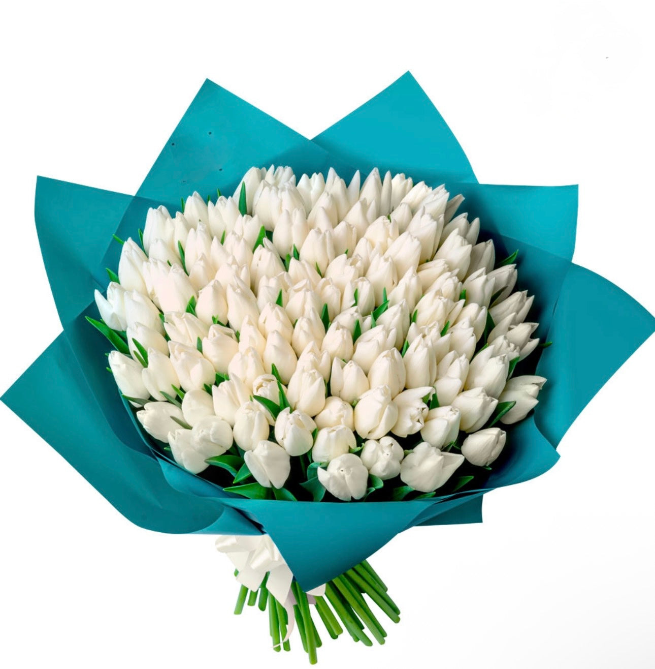 101 White Tulips Bouquet