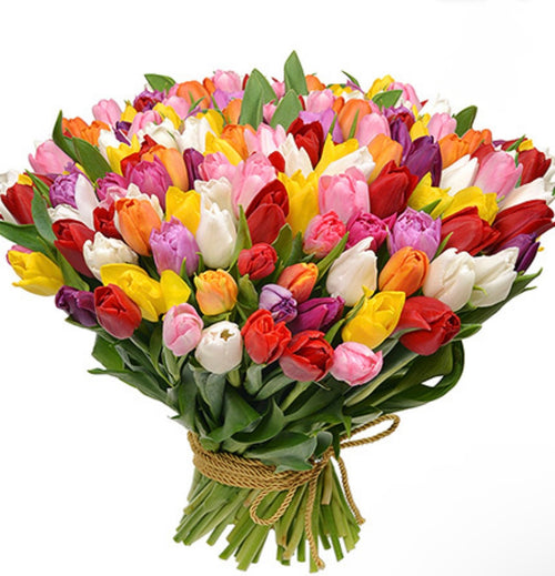 101 multicolored tulips
