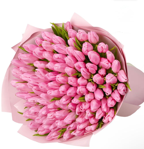 101 pink tulips