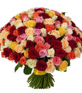 151 Multi-Colored Roses Bouquet