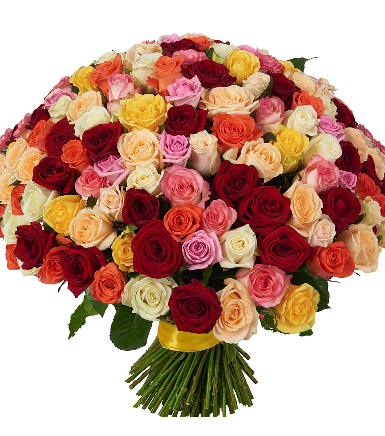 151 Multi-Colored Roses Bouquet