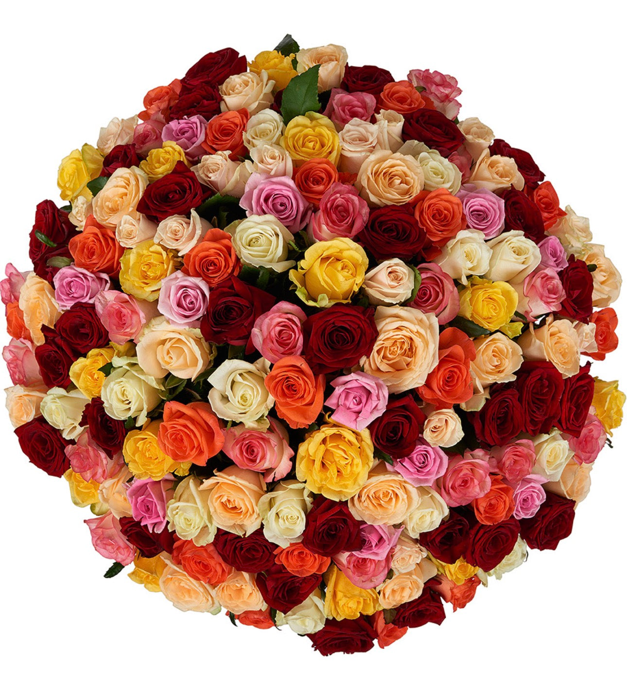 151 Multi-Colored Roses Bouquet