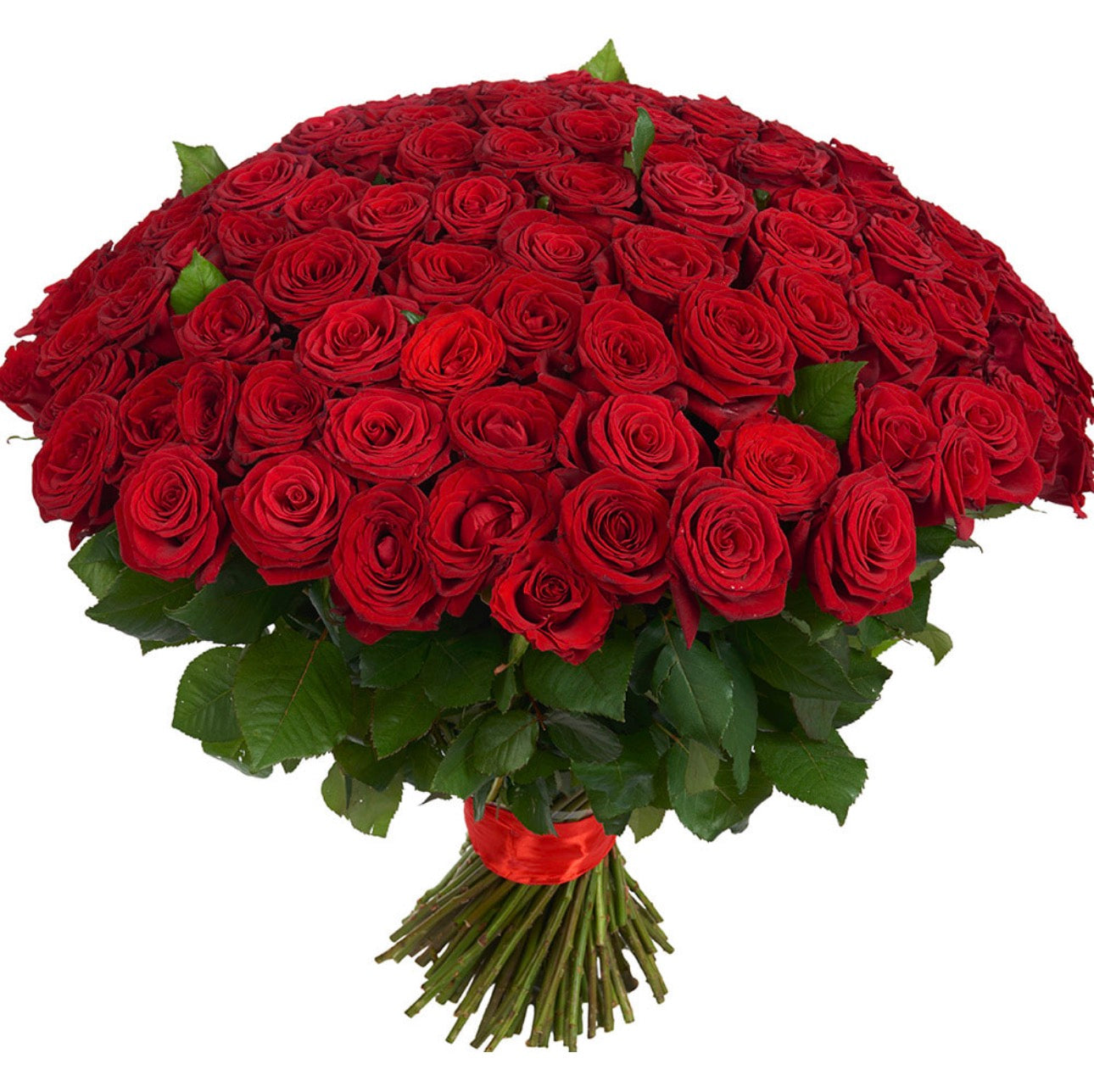 151 Red Roses Bouquet