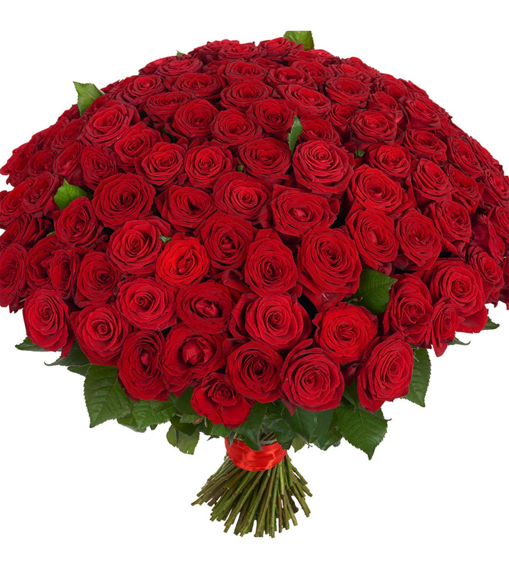 151 Red Roses Bouquet