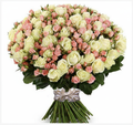 151 Roses "Between Heaven and Earth" Bouquet