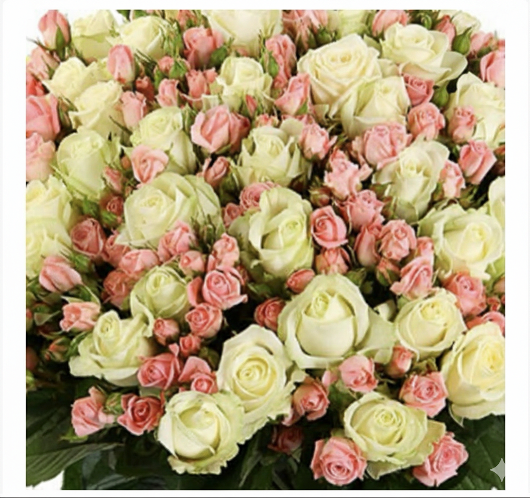 151 Roses "Between Heaven and Earth" Bouquet
