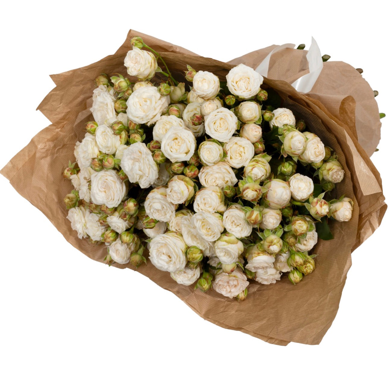 15 Cream Peony Spray Roses Bouquet