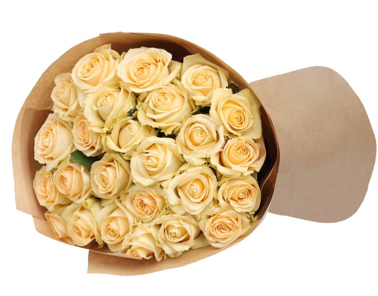 21 Cream Roses Bouquet