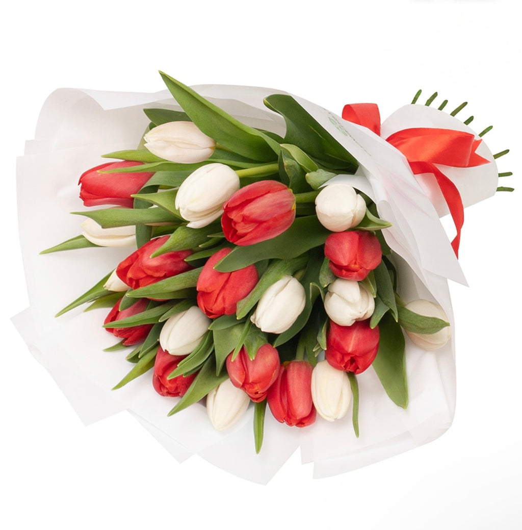 21 White and Red Tulips Bouquet