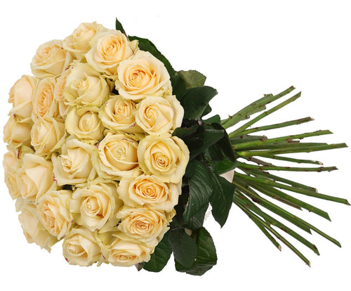 25 Cream Roses Bouquet