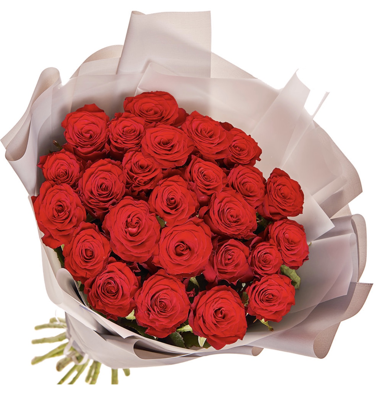 25 Red Roses Bouquet in Packaging
