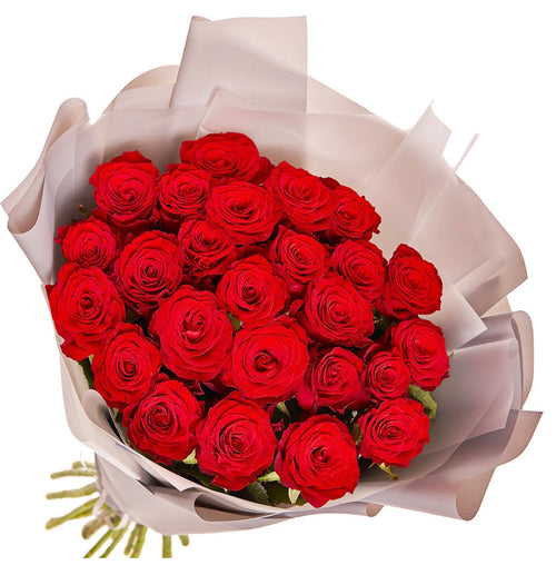 25 Red Roses Bouquet in Packaging