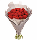25 Red Roses Bouquet in Packaging