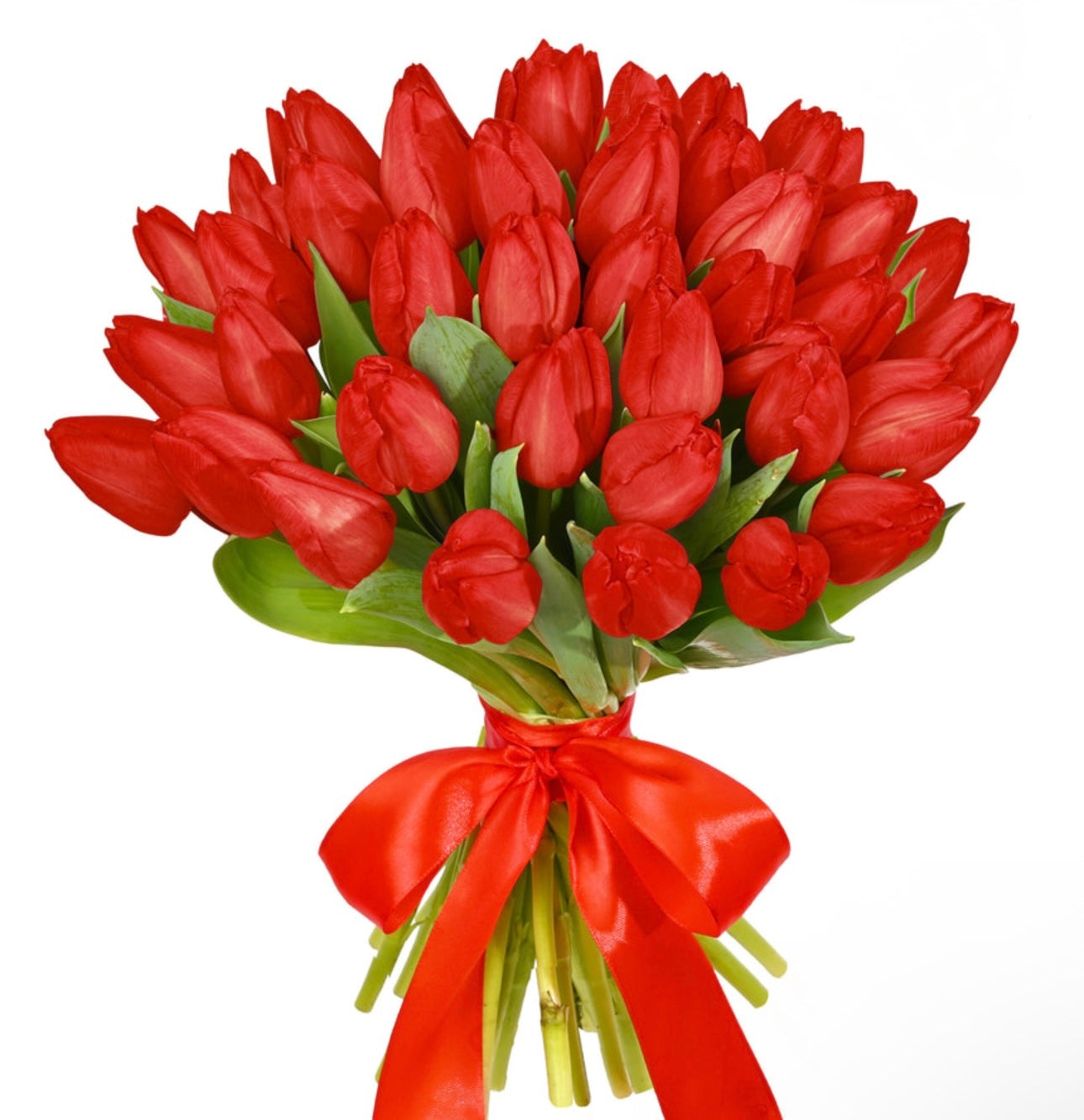41 Red Tulips Bouquet