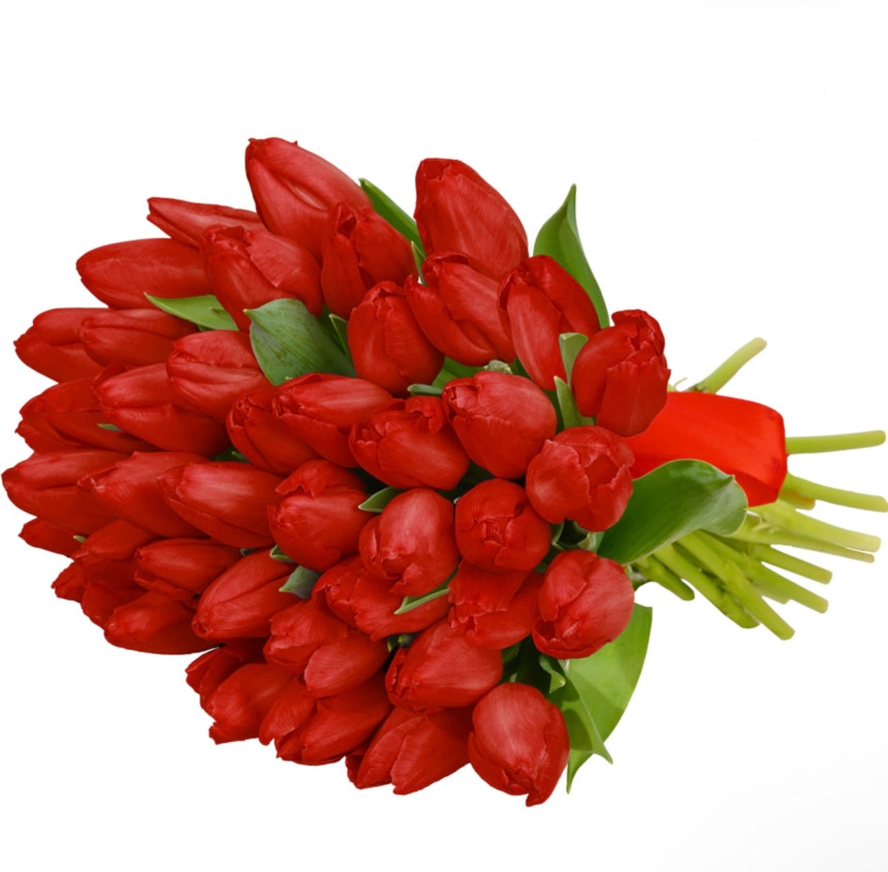 41 Red Tulips Bouquet