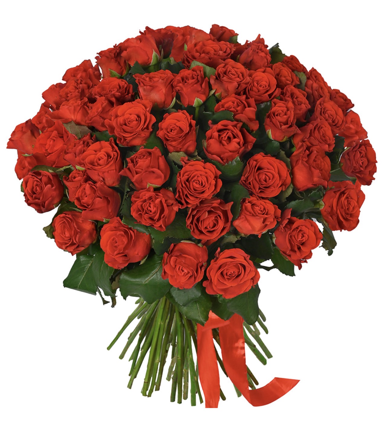51 El Toro Roses Monobouquet