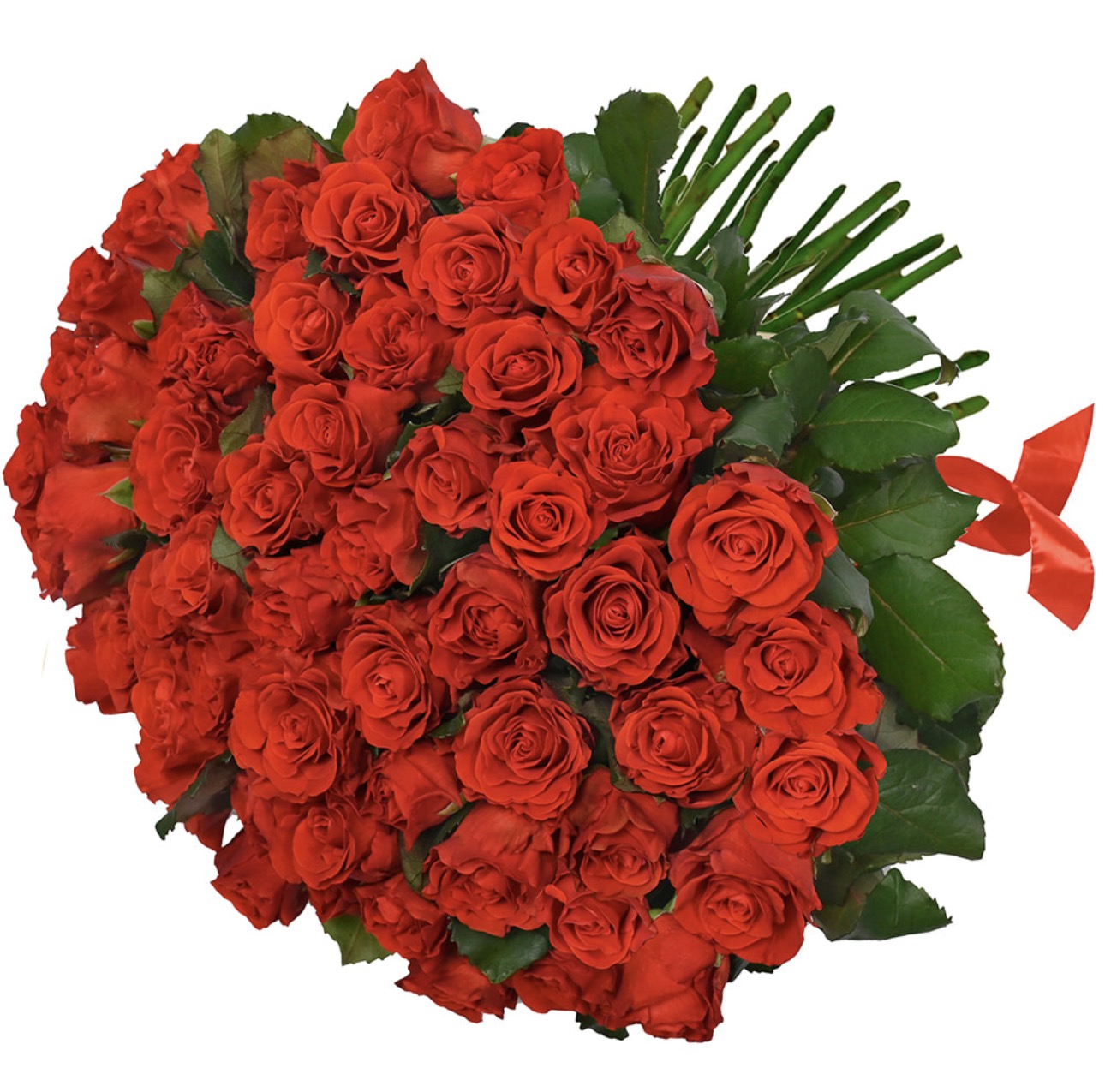 51 El Toro Roses Monobouquet