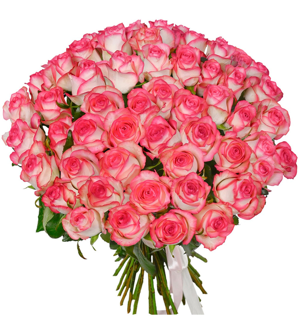 51 Jumilia Roses Bouquet