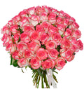 51 Jumilia Roses Bouquet