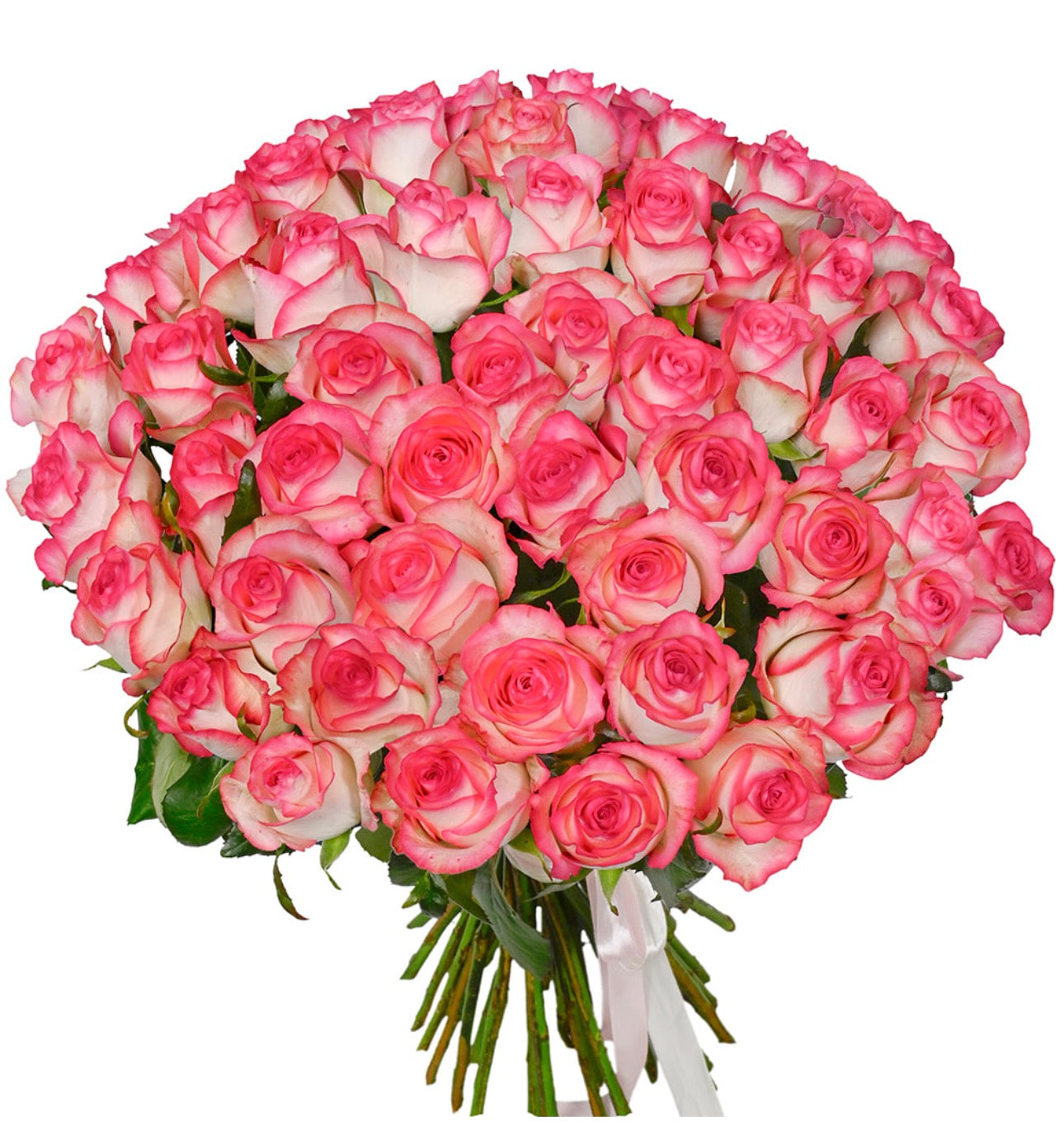 51 Jumilia Roses Bouquet