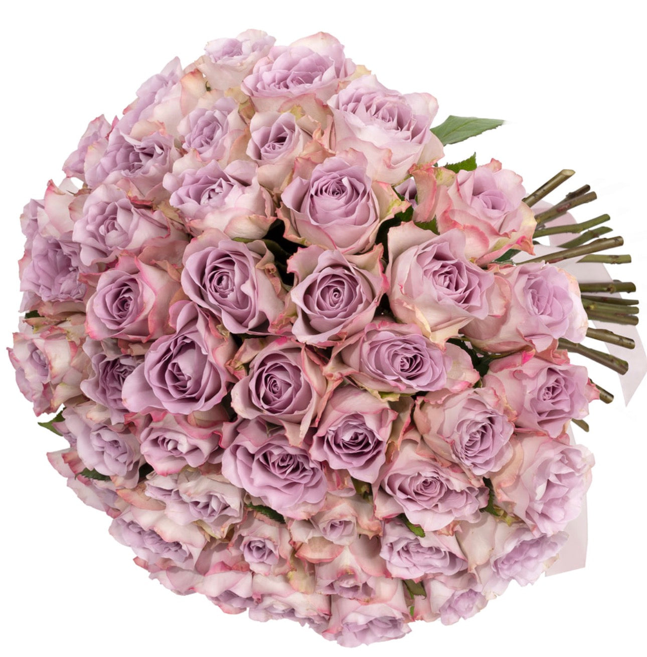 51 Memory Lane Roses Bouquet