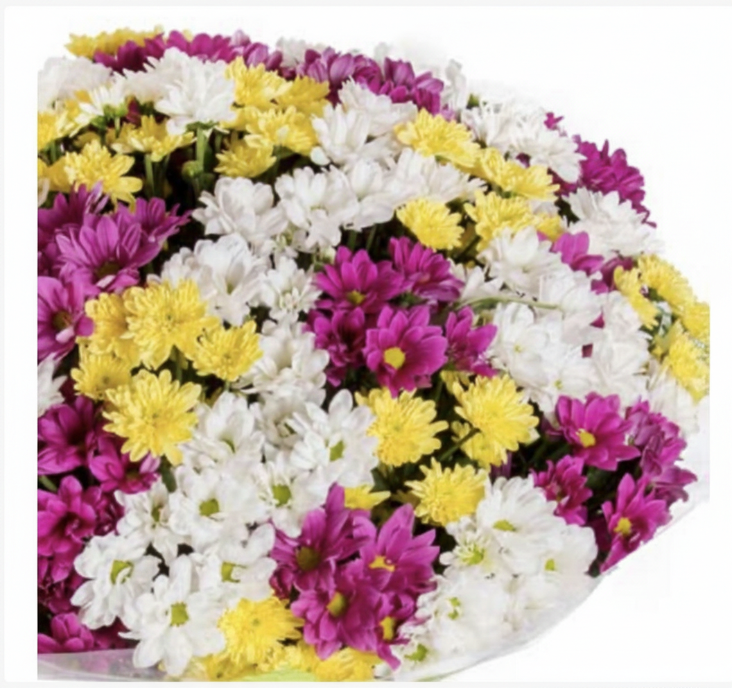 51 Multicolored Chrysanthemums Bouquet