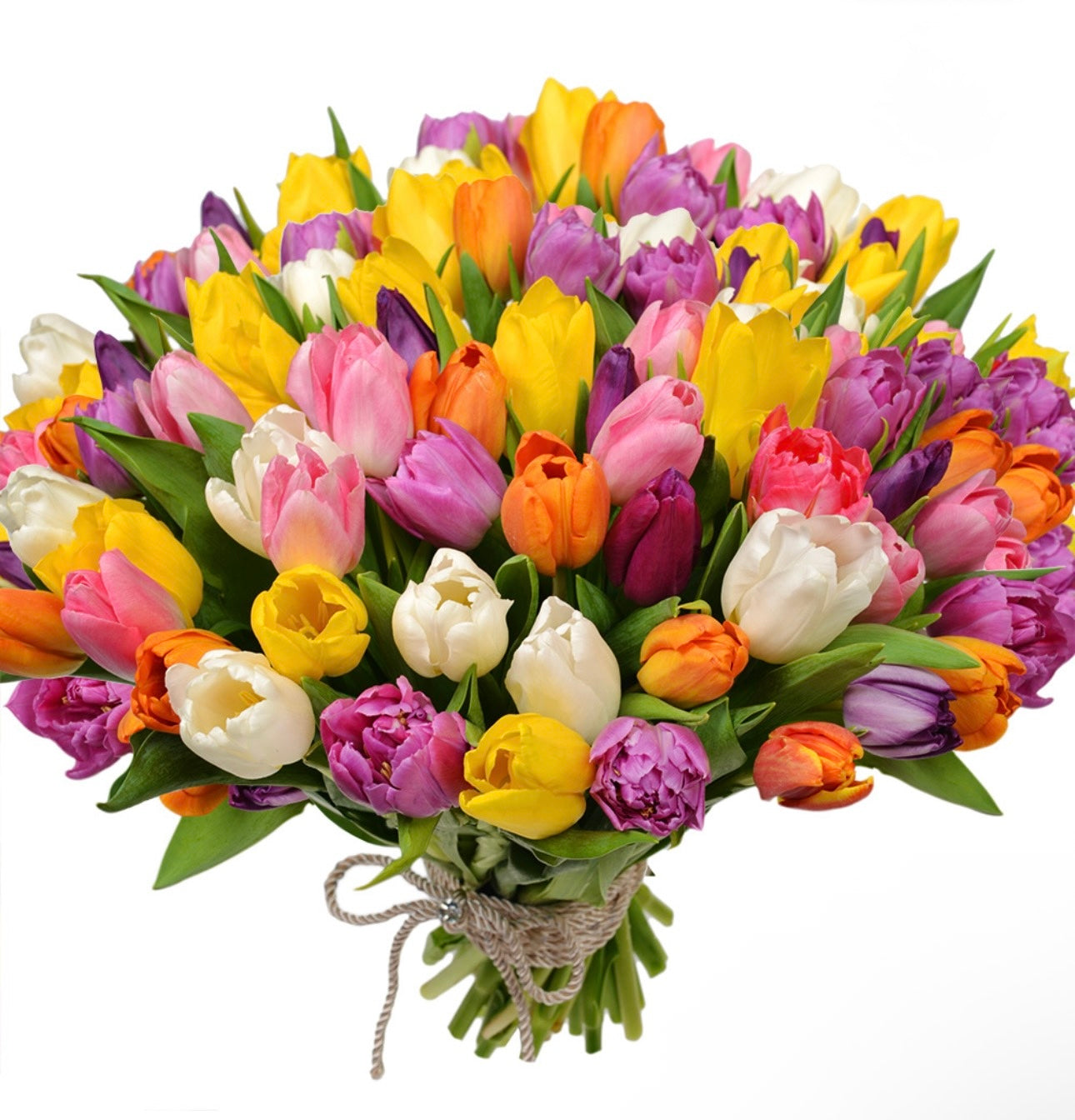 51 Multicolored Tulips Bouquet