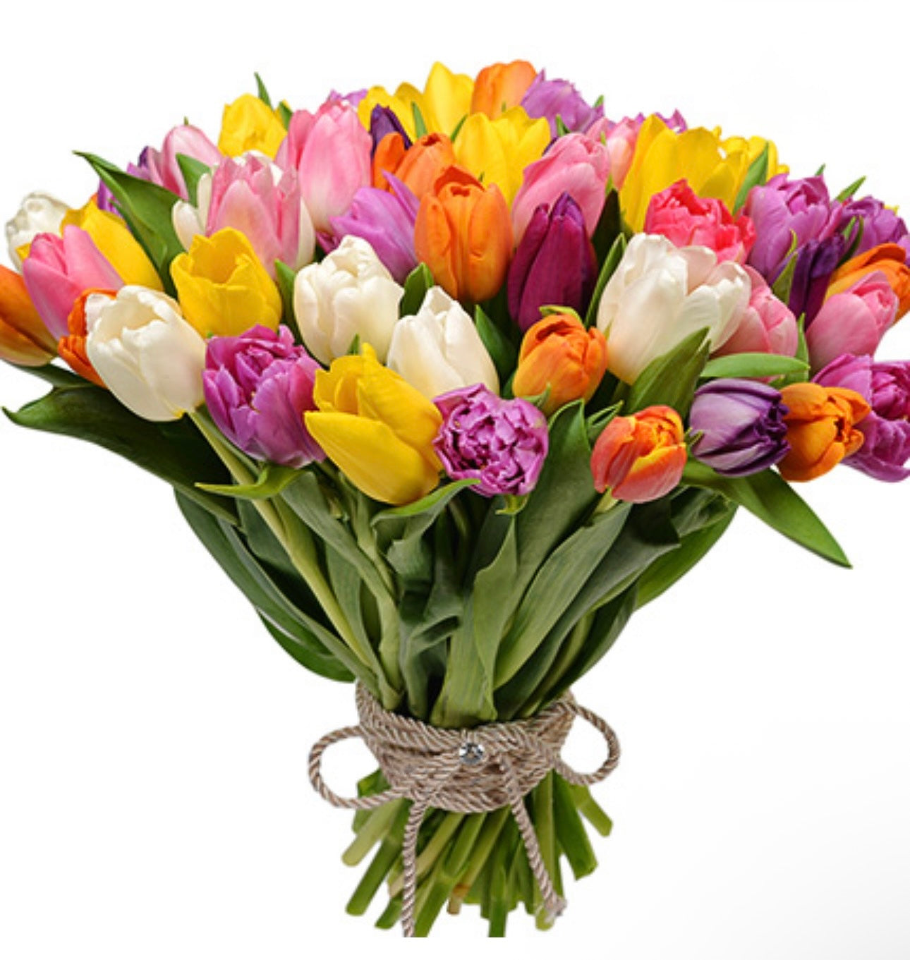 51 Multicolored Tulips Bouquet