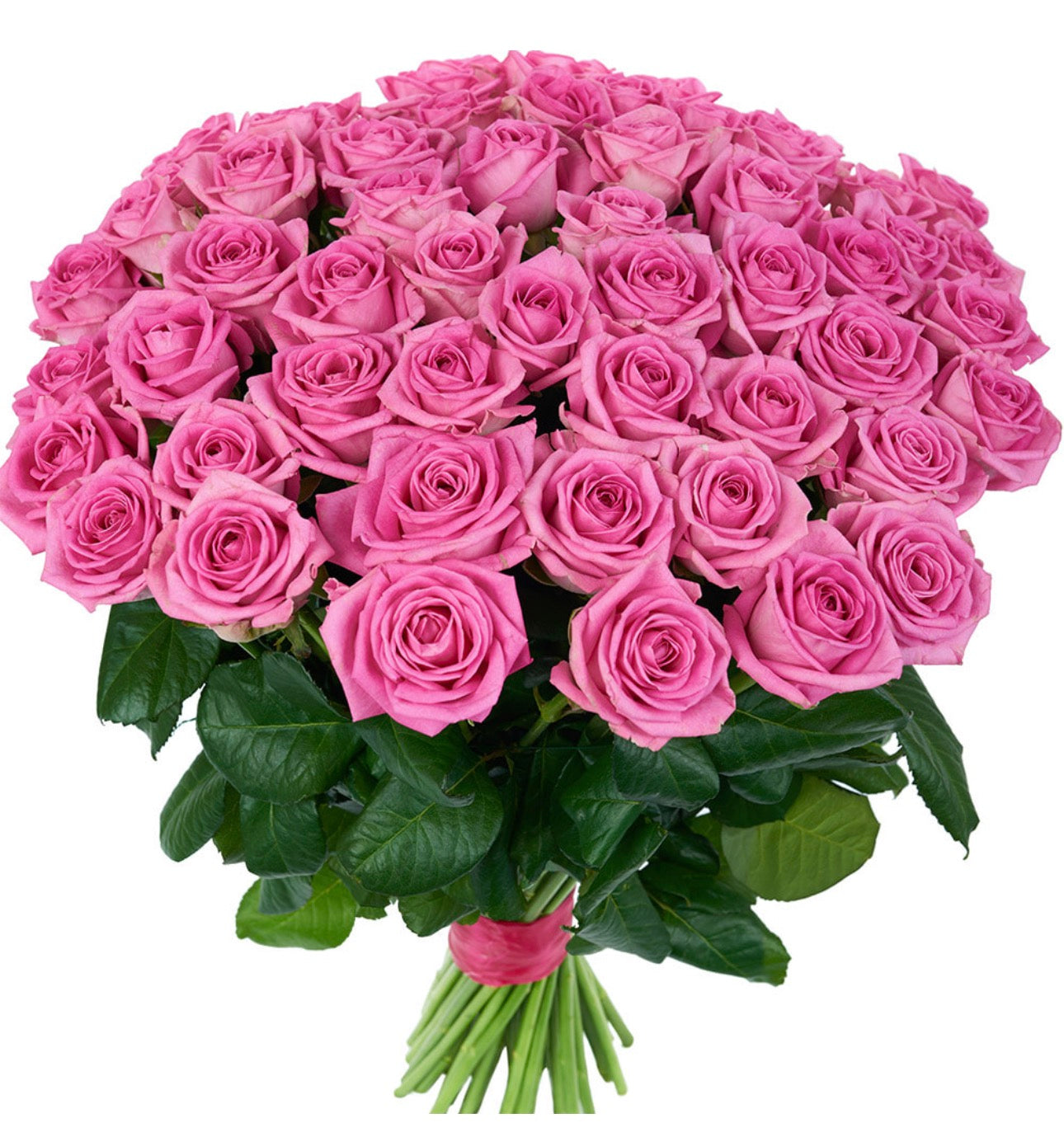 51 Pink Roses Bouquet