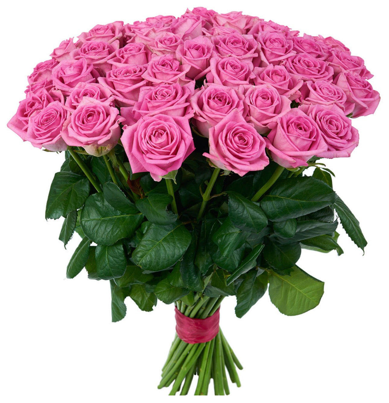 51 Pink Roses Bouquet