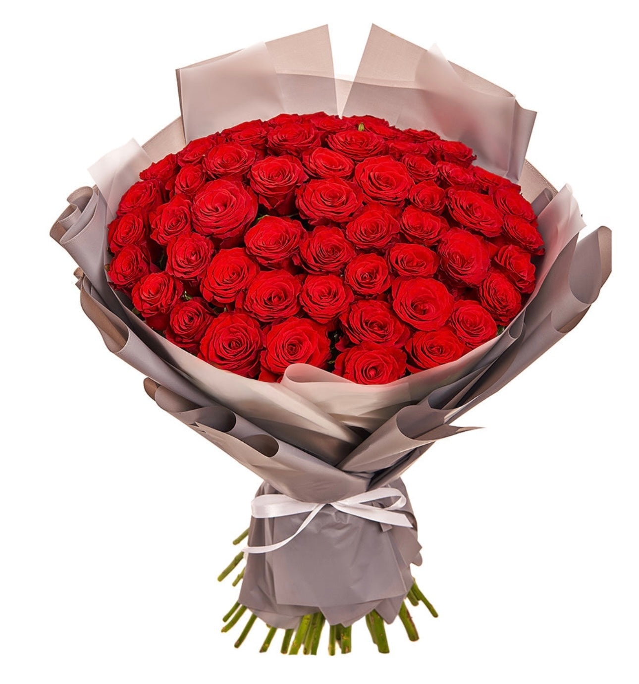 51 Red Roses Wrapped Bouquet