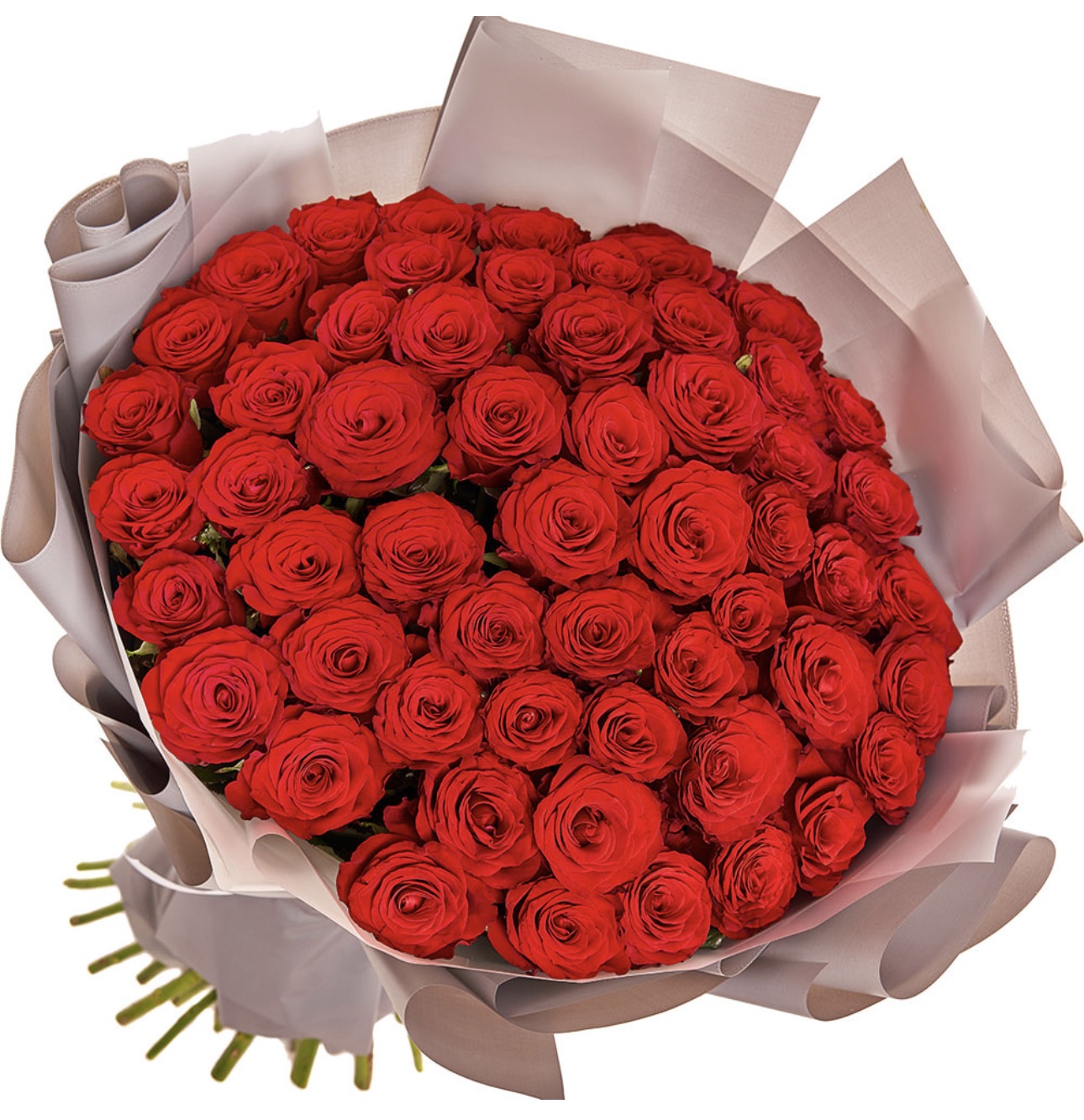 51 Red Roses Wrapped Bouquet