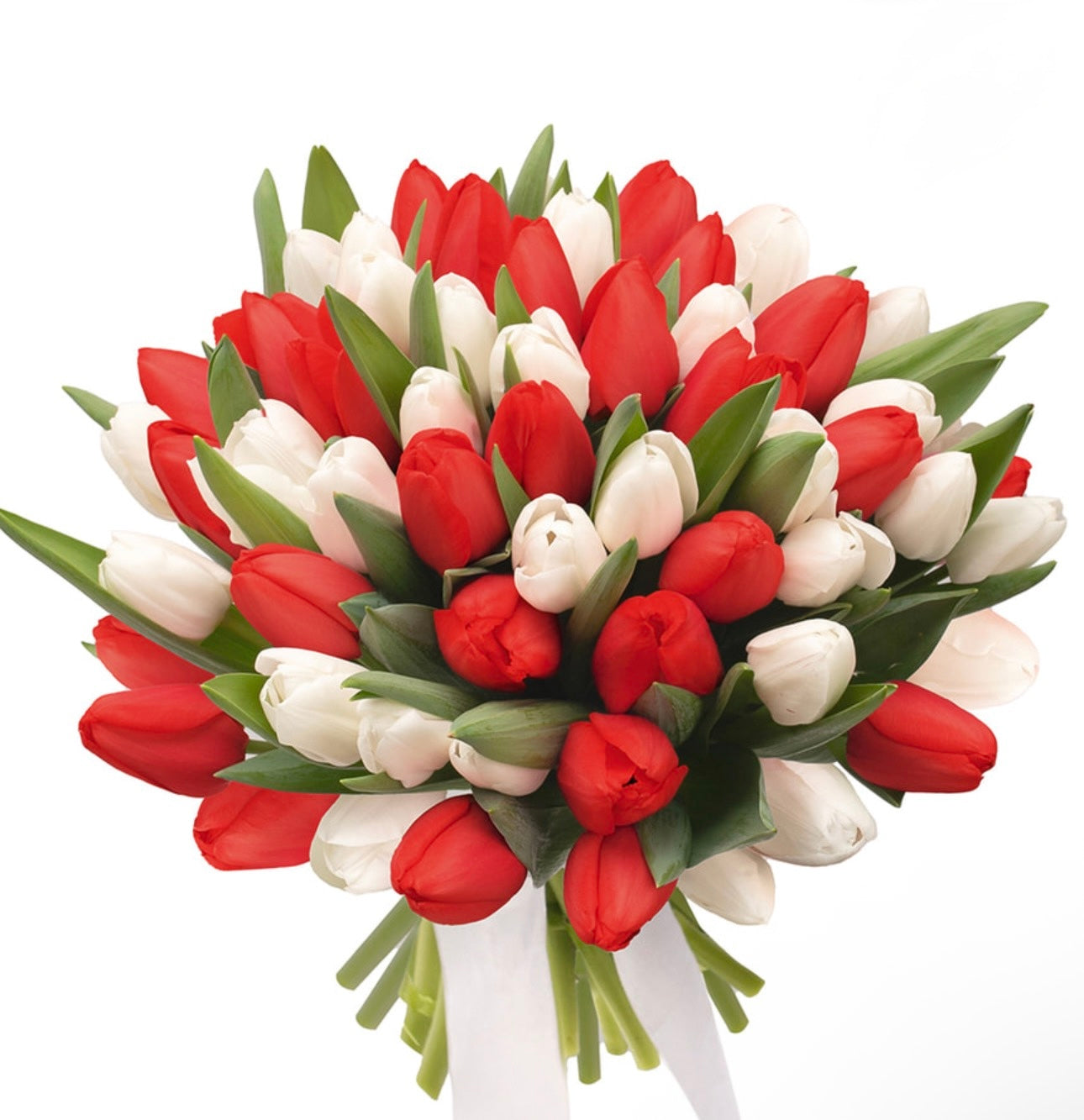 51 White and Red Tulips Bouquet
