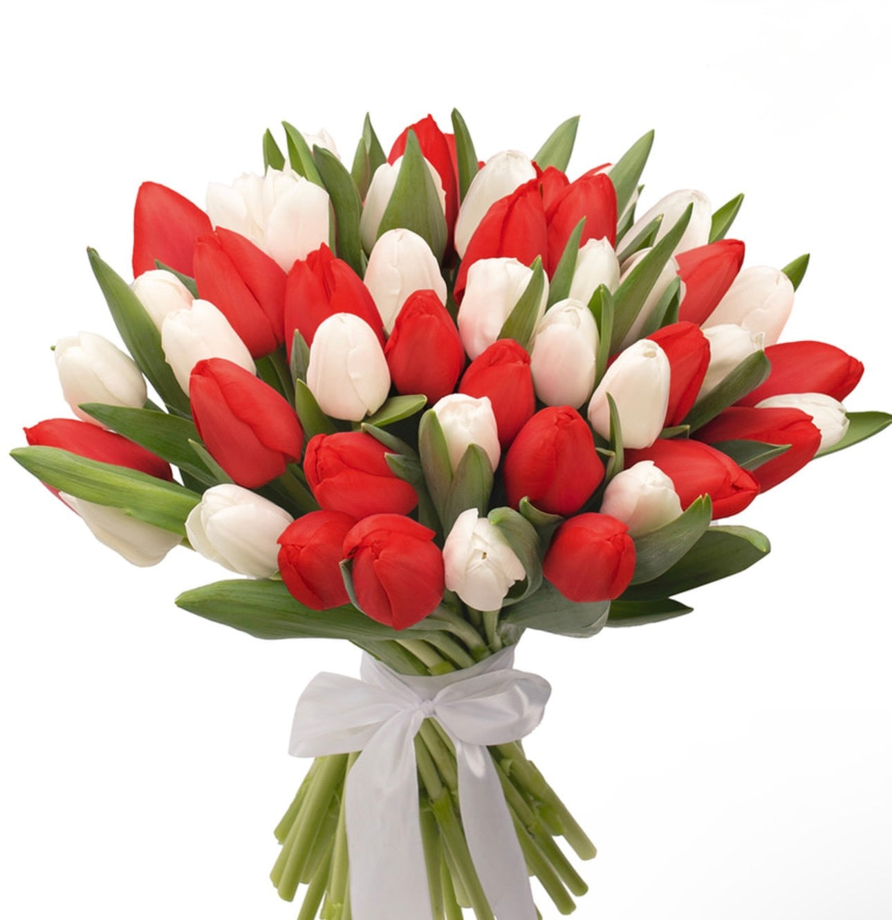 51 White and Red Tulips Bouquet
