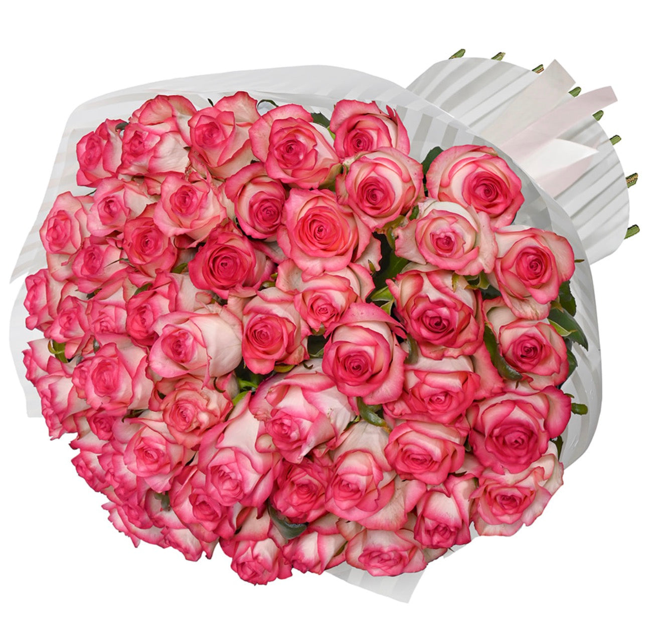 55 Jumilia Roses Bouquet
