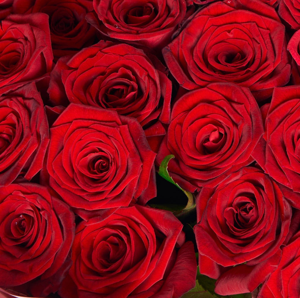 75 Red Roses Bouquet