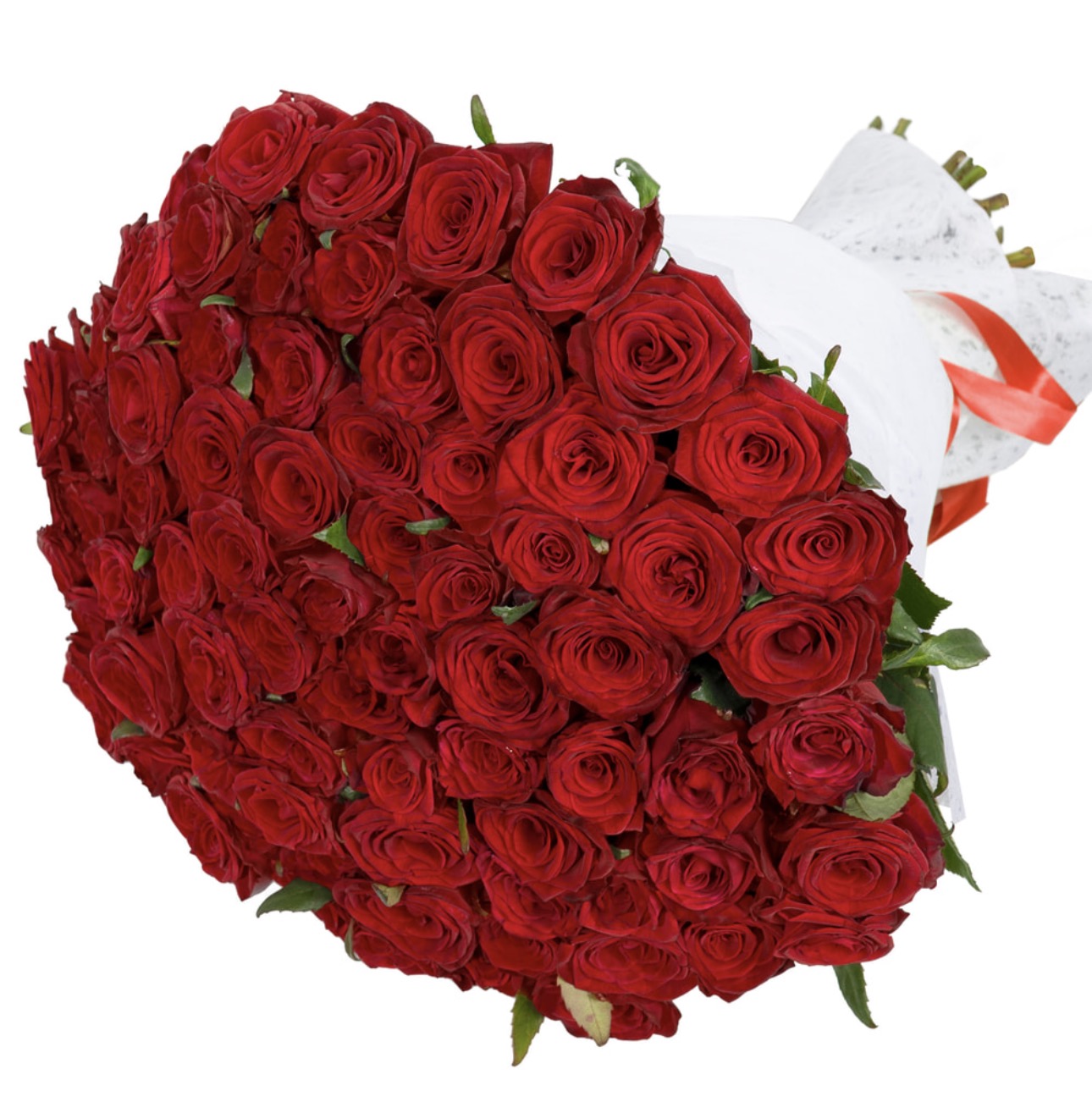 75 Red Roses Statement Bouquet