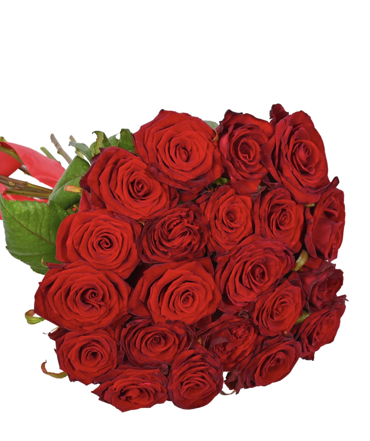 21 Red Roses Bouquet – Elegant Classic Flower Gift