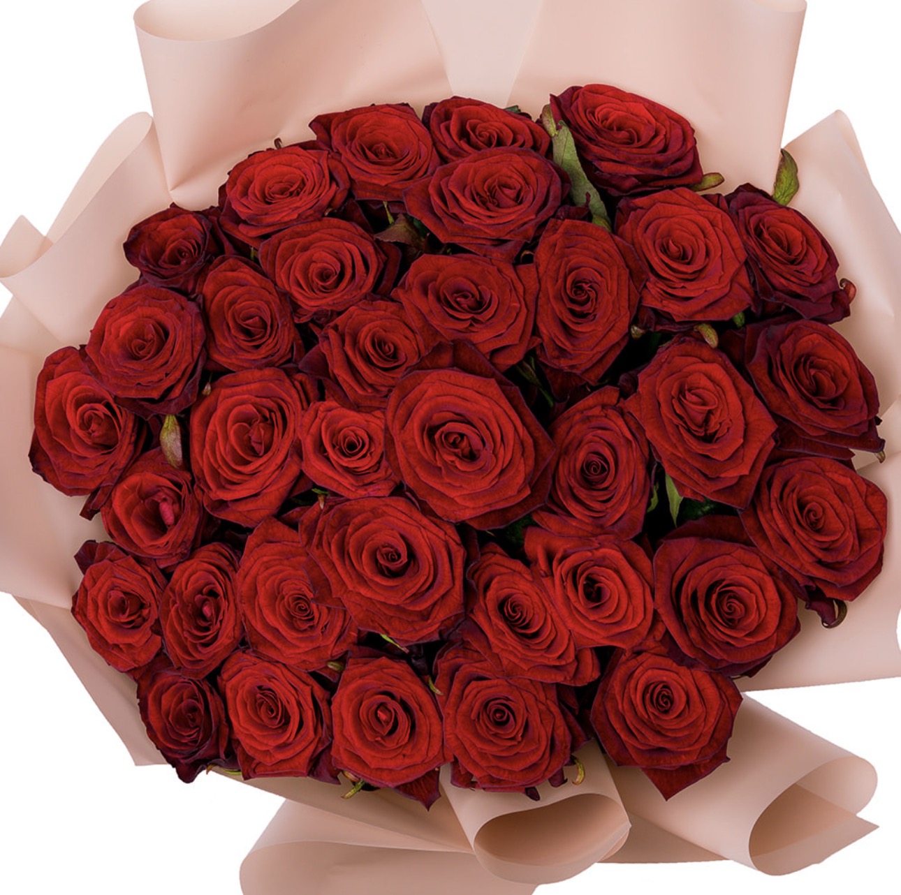 Bouquet of 35 Red Roses